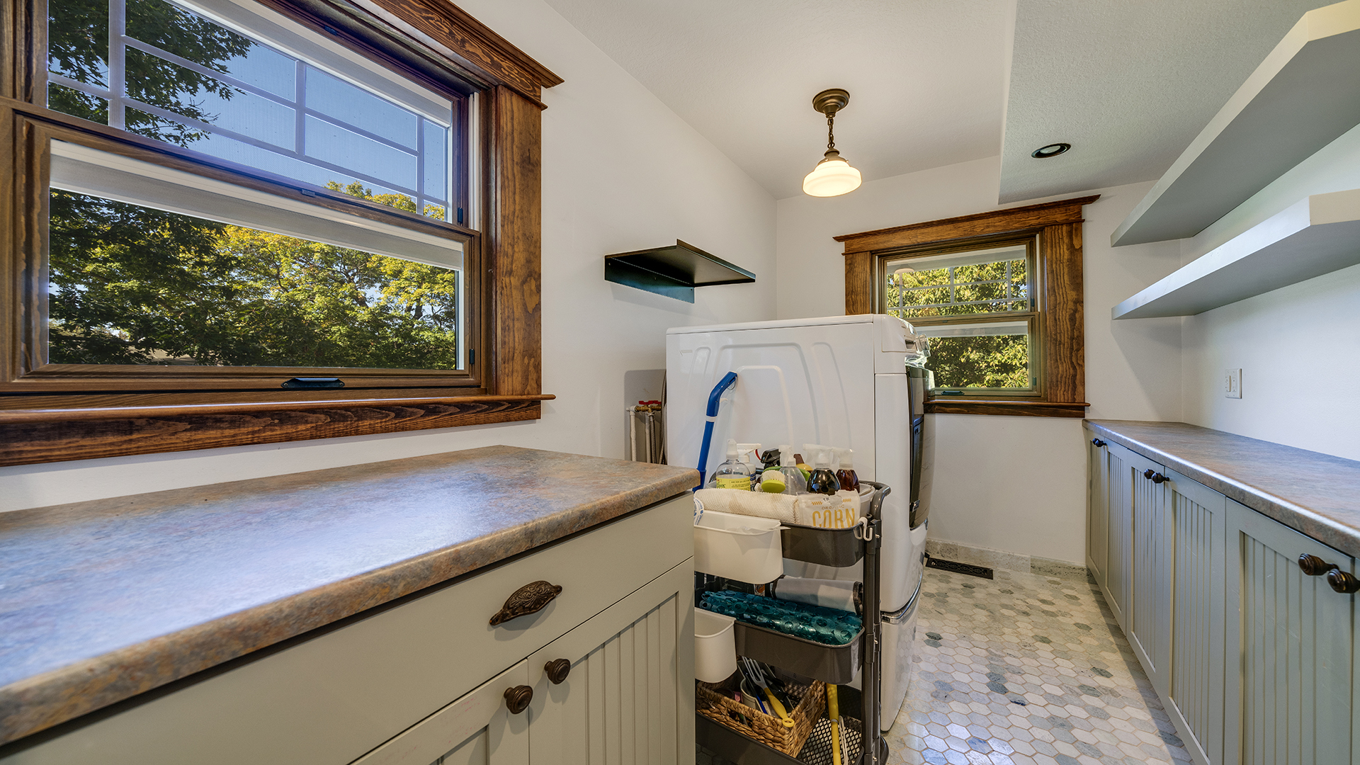 409 North State Street Franklin Grove, IL 61031 - Photo 60 of 99