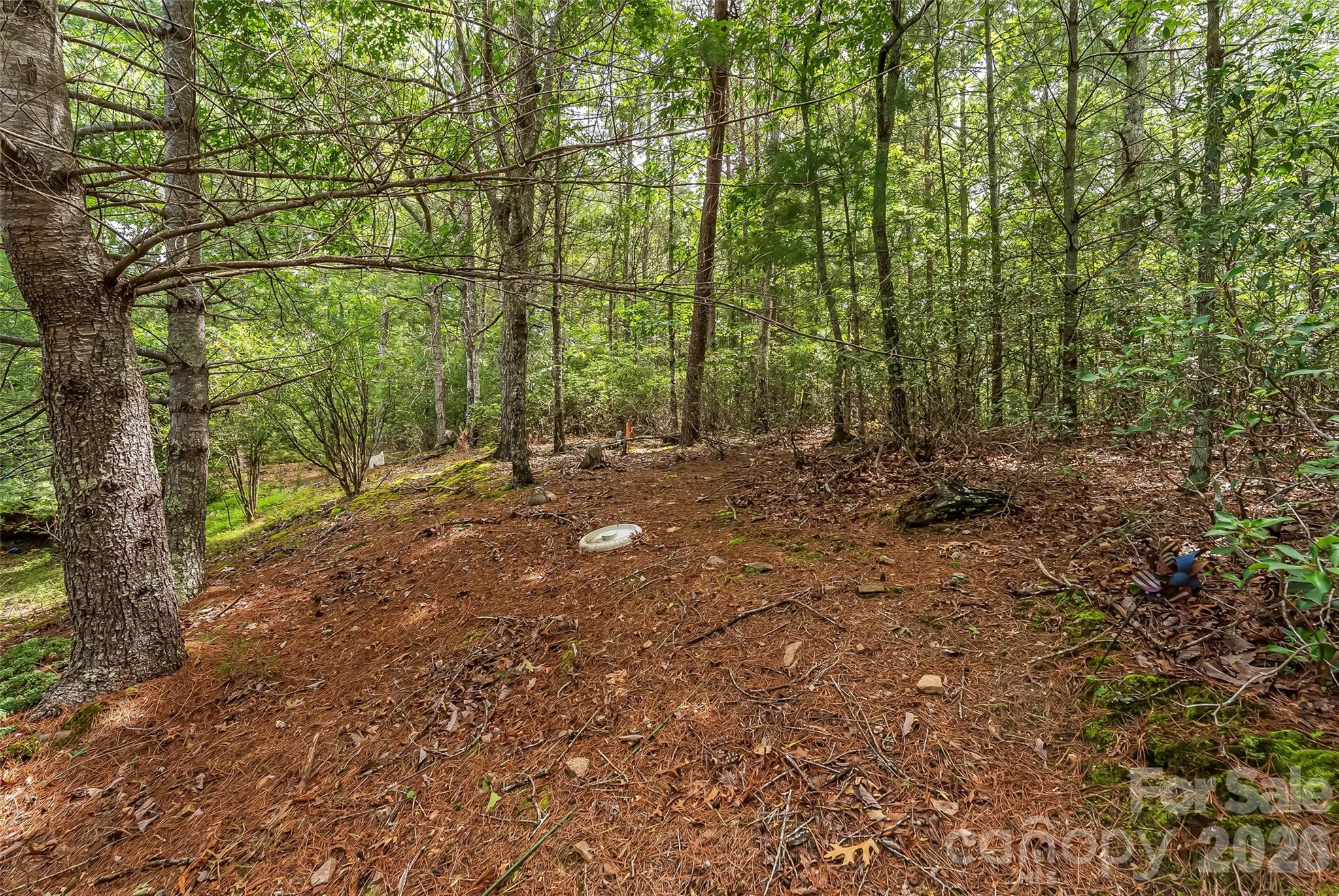 2040 Hampson Road Morganton, NC 28655 - Photo 13 of 14