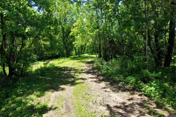 $95,000 | 55305 Stoney Point Road, Seneca, WI 54631