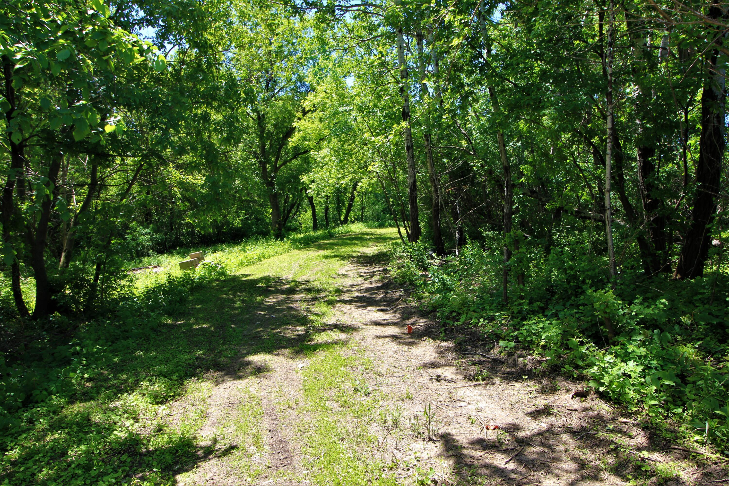 55305 Stoney Point Road Seneca, WI 54631 - Photo 19 of 38 IMG_0576