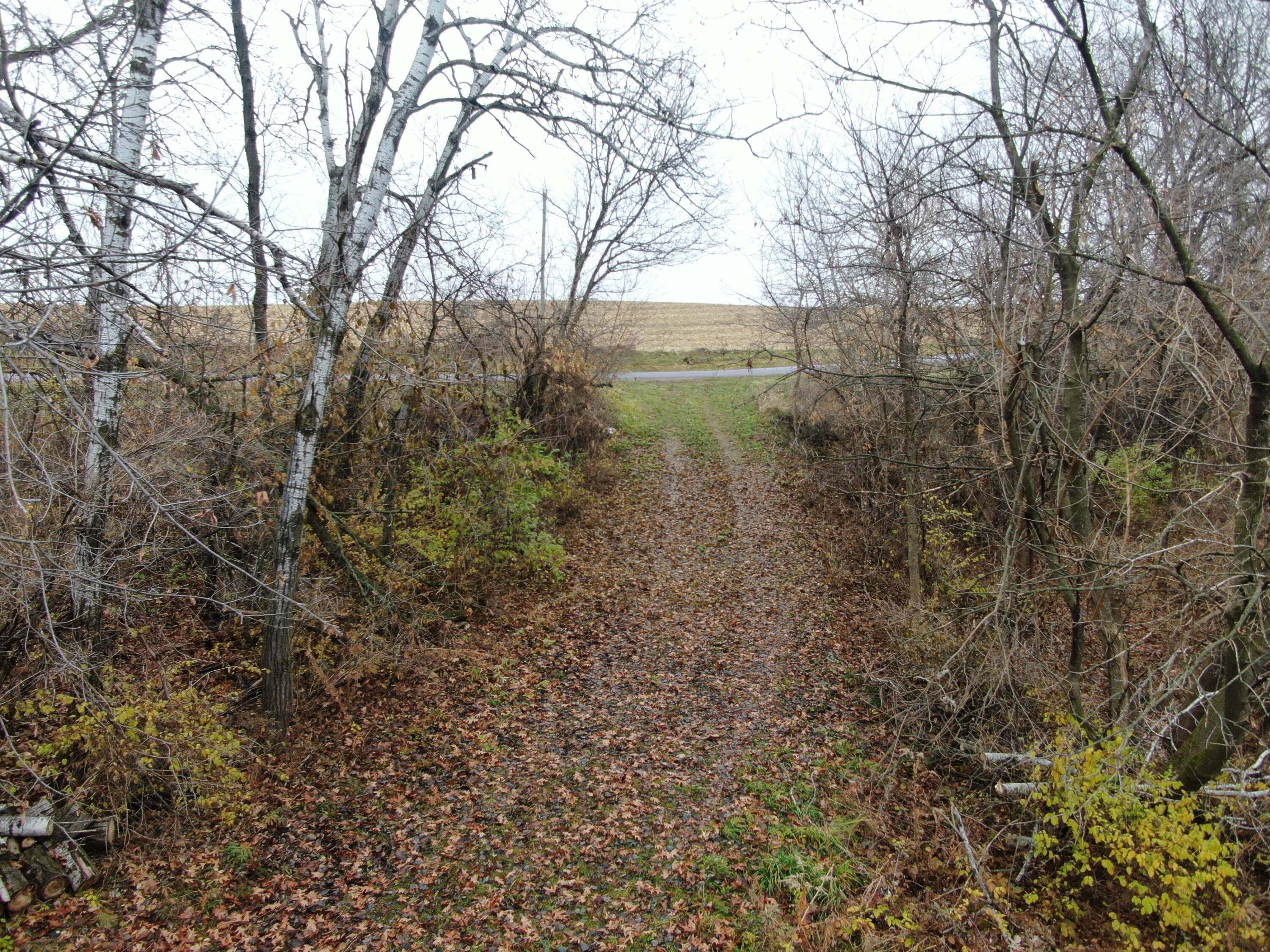 55305 Stoney Point Road Seneca, WI 54631 - Photo 2 of 38 DJI_0520