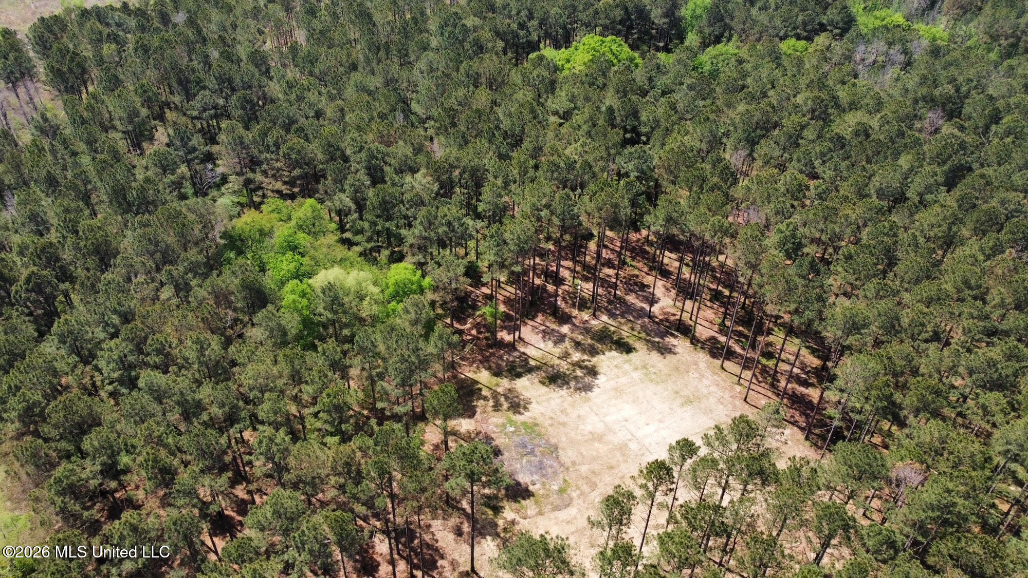 2 Morgan Road Canton, MS 39046 - Photo 14 of 19 14