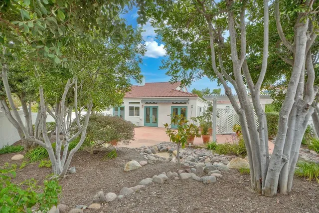 a view of a park with plants and trees