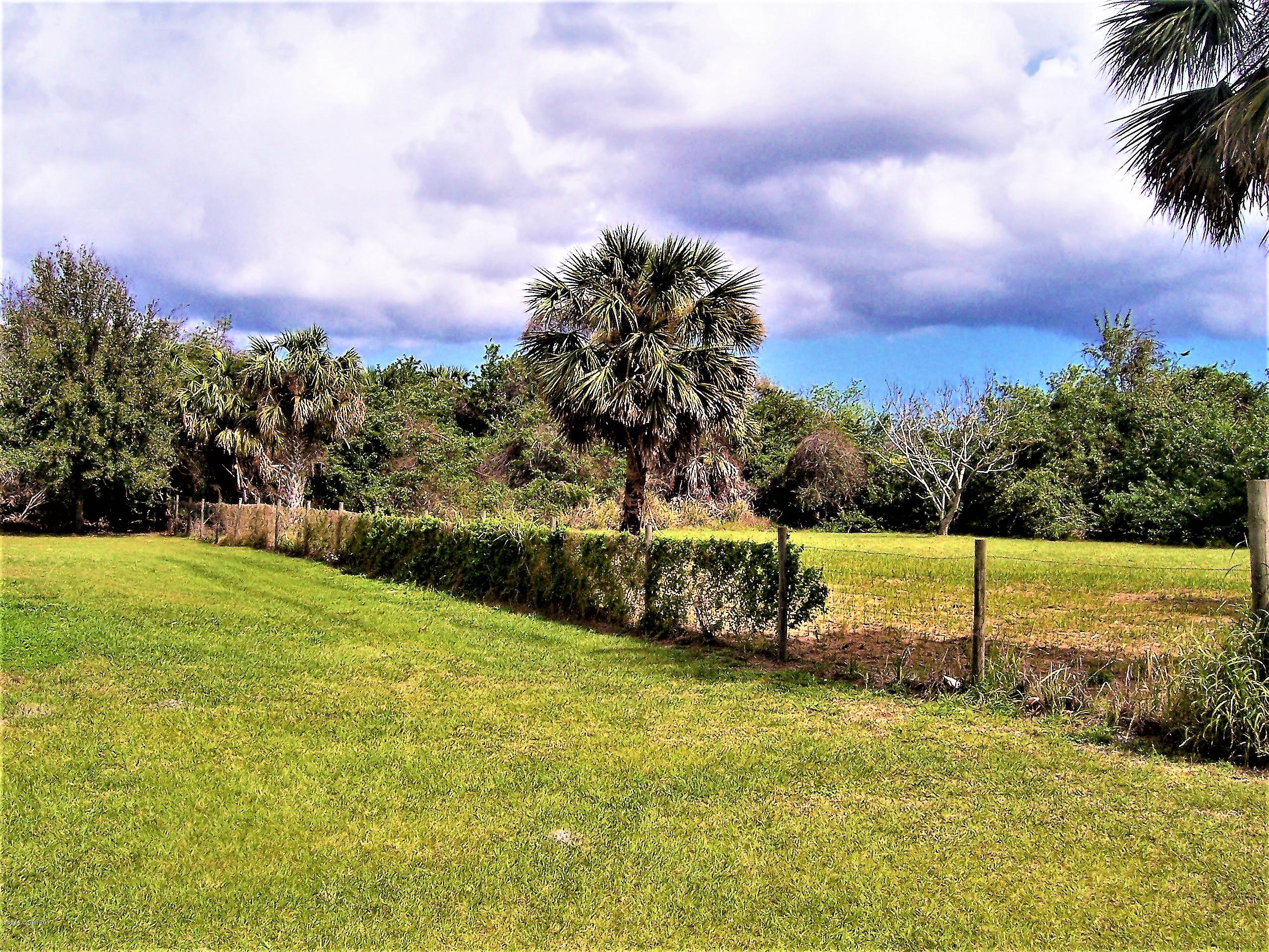 3131 Lionel Road Mims, FL 32754 - Photo 10 of 46 100_1451