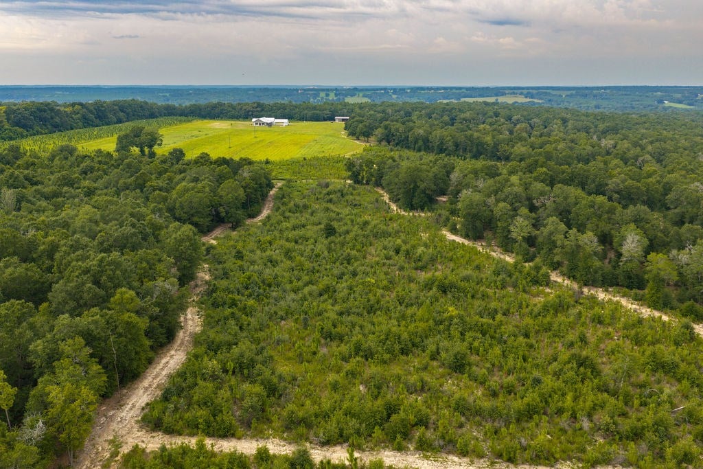 1138 Power Dam Road Newton, AL 36352 - Photo 98 of 111 Gallery Image 98