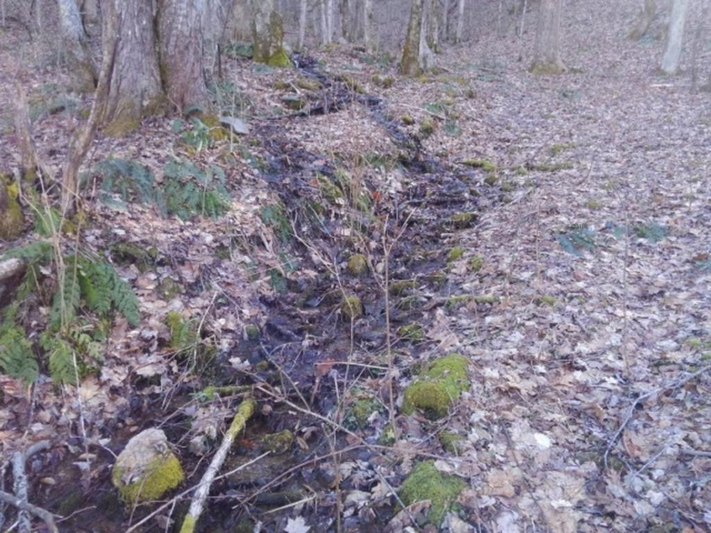 0 Rice Creek Road Flag Pond, TN 37657 - Photo 1 of 4 Photo 1
