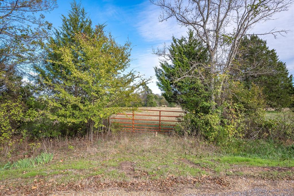 a view of a yard with large trees