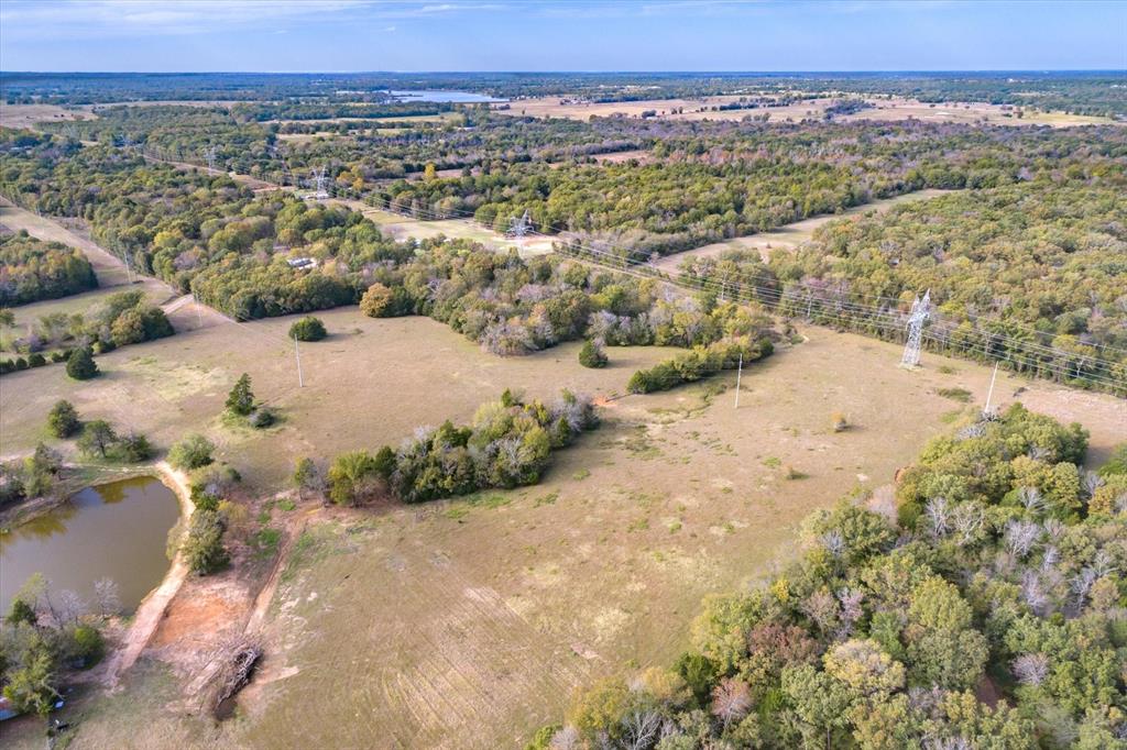 4503 County Road 4503 Ben Wheeler, TX 75754 - Photo 7 of 10 a view of a city
