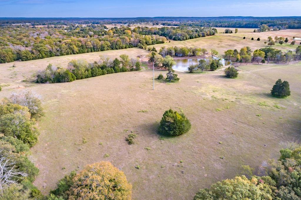4503 County Road 4503 Ben Wheeler, TX 75754 - Photo 9 of 10 a view of a ocean view
