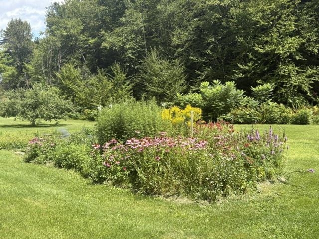 1821 Chateauguay Road Barnard, VT 05032 - Photo 45 of 60 Gallery Image 45