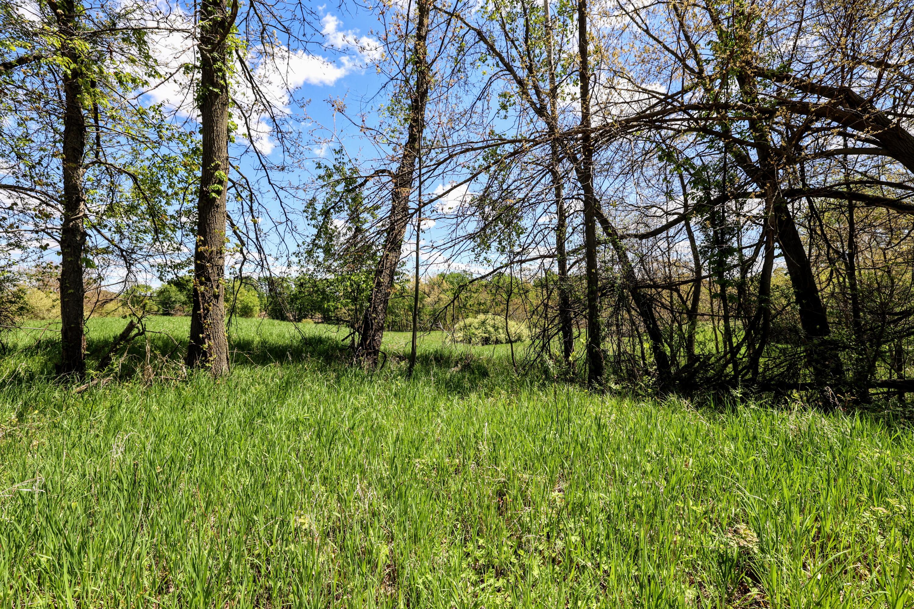 8 1/2 8 1/2 Mile Road Burlington, MI 49029 - Photo 35 of 55 35