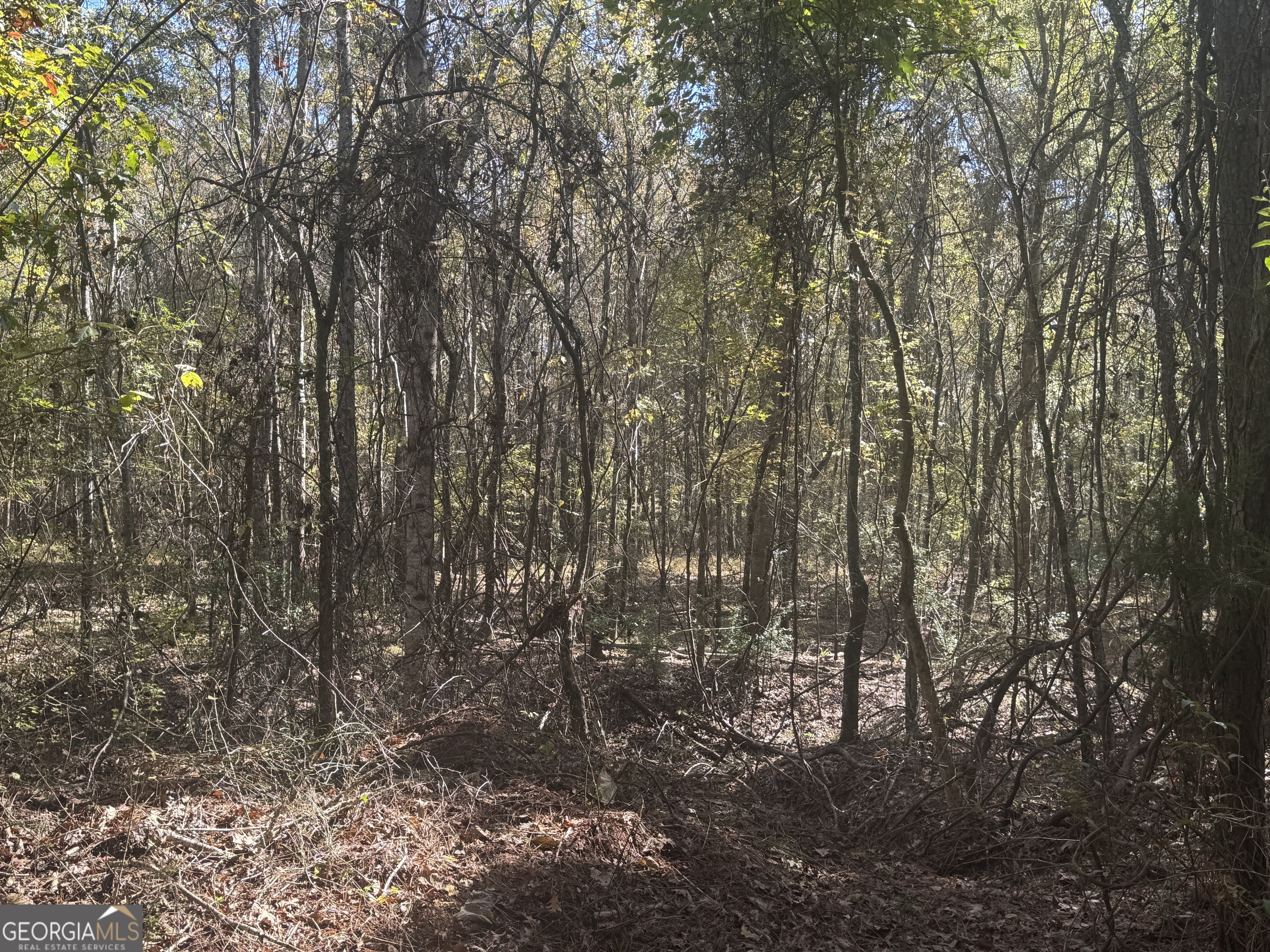 0 Perimeter Road Monticello, GA 31064 - Photo 13 of 22