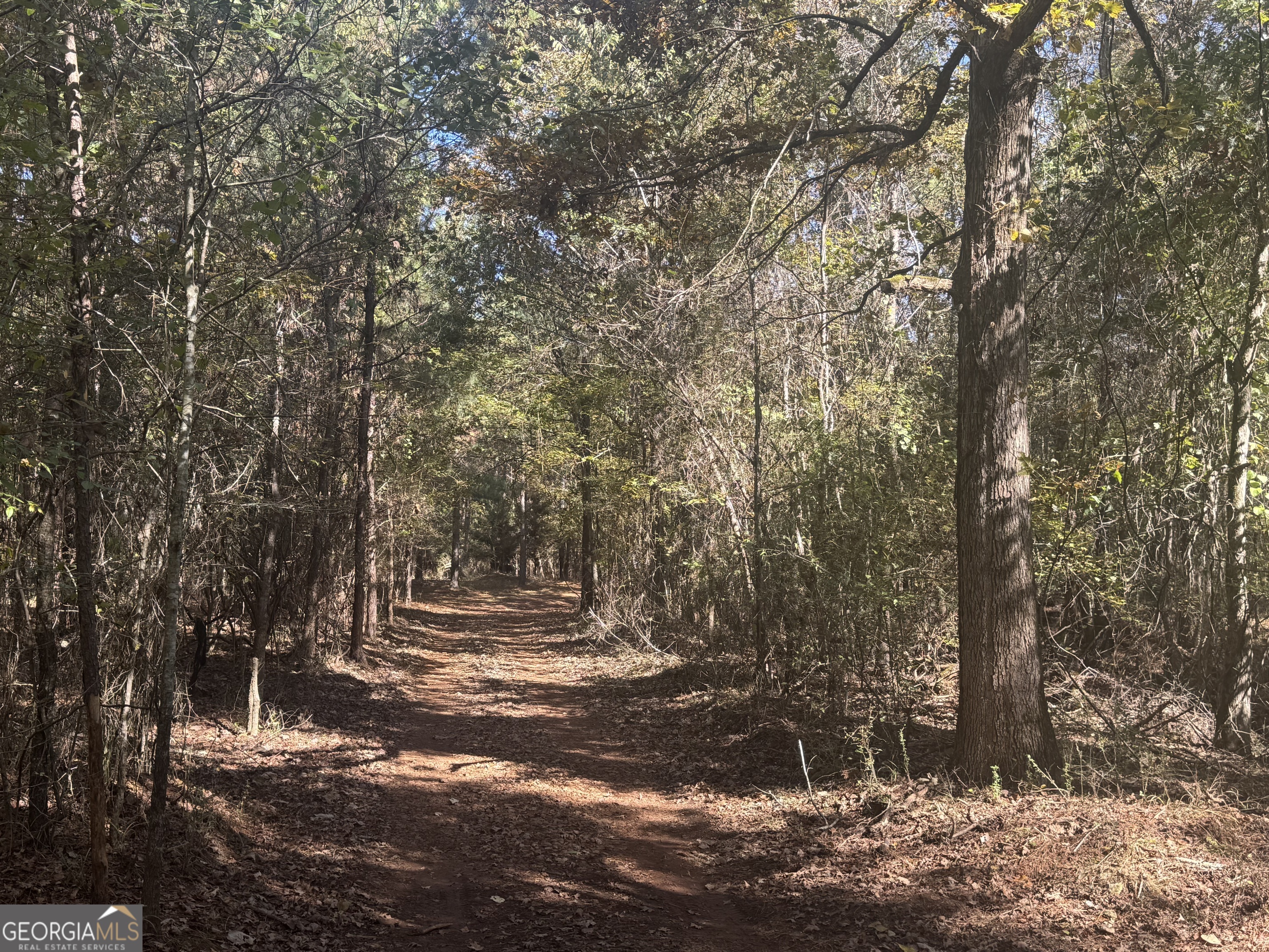 0 Perimeter Road Monticello, GA 31064 - Photo 14 of 22 a view of outdoor space with deck and tree