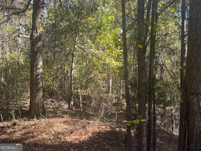 a view of a yard with trees