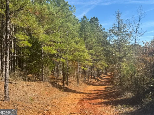 a view of swimming pool with an outdoor space