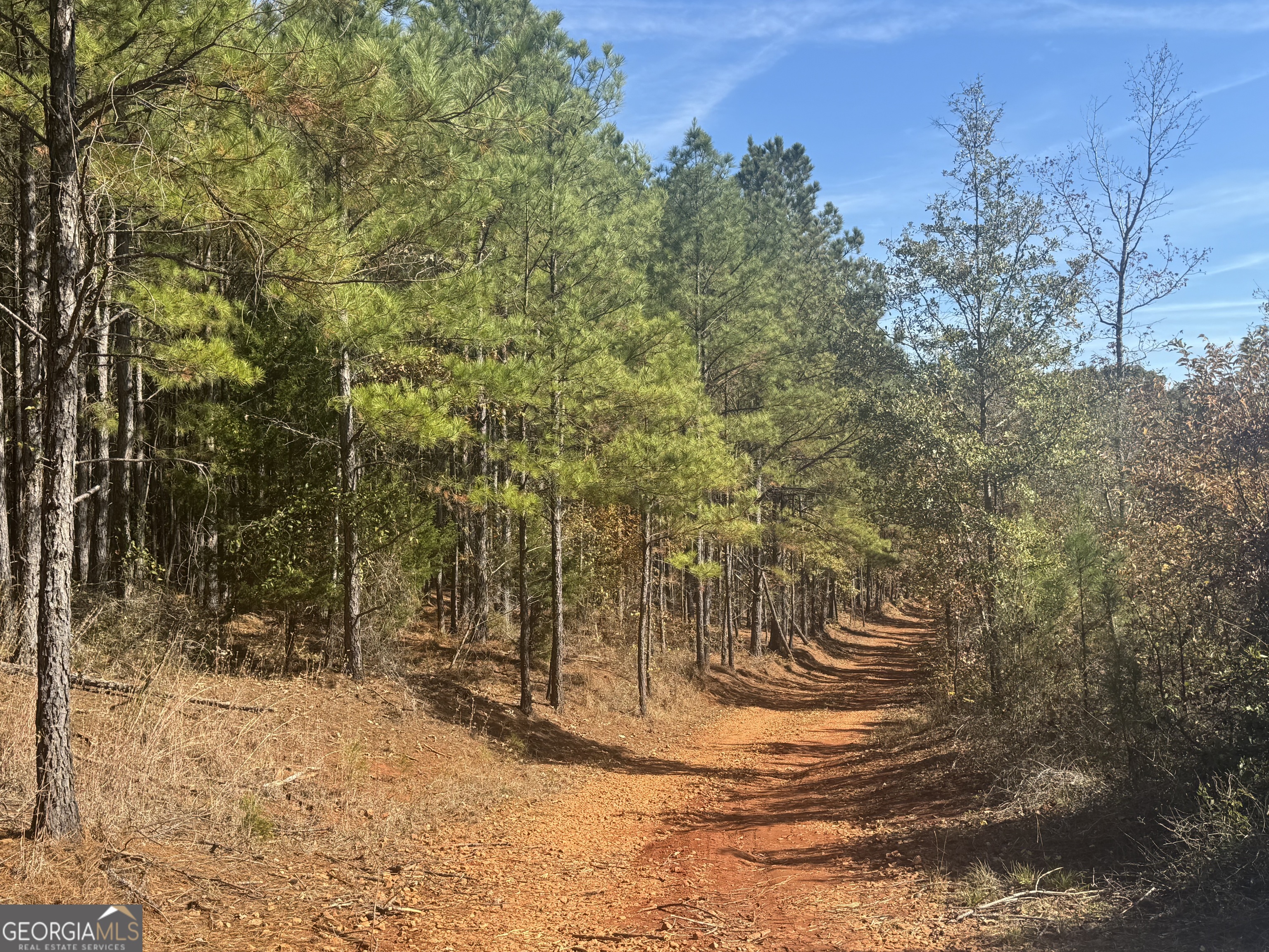 0 Perimeter Road Monticello, GA 31064 - Photo 16 of 22 a view of yard