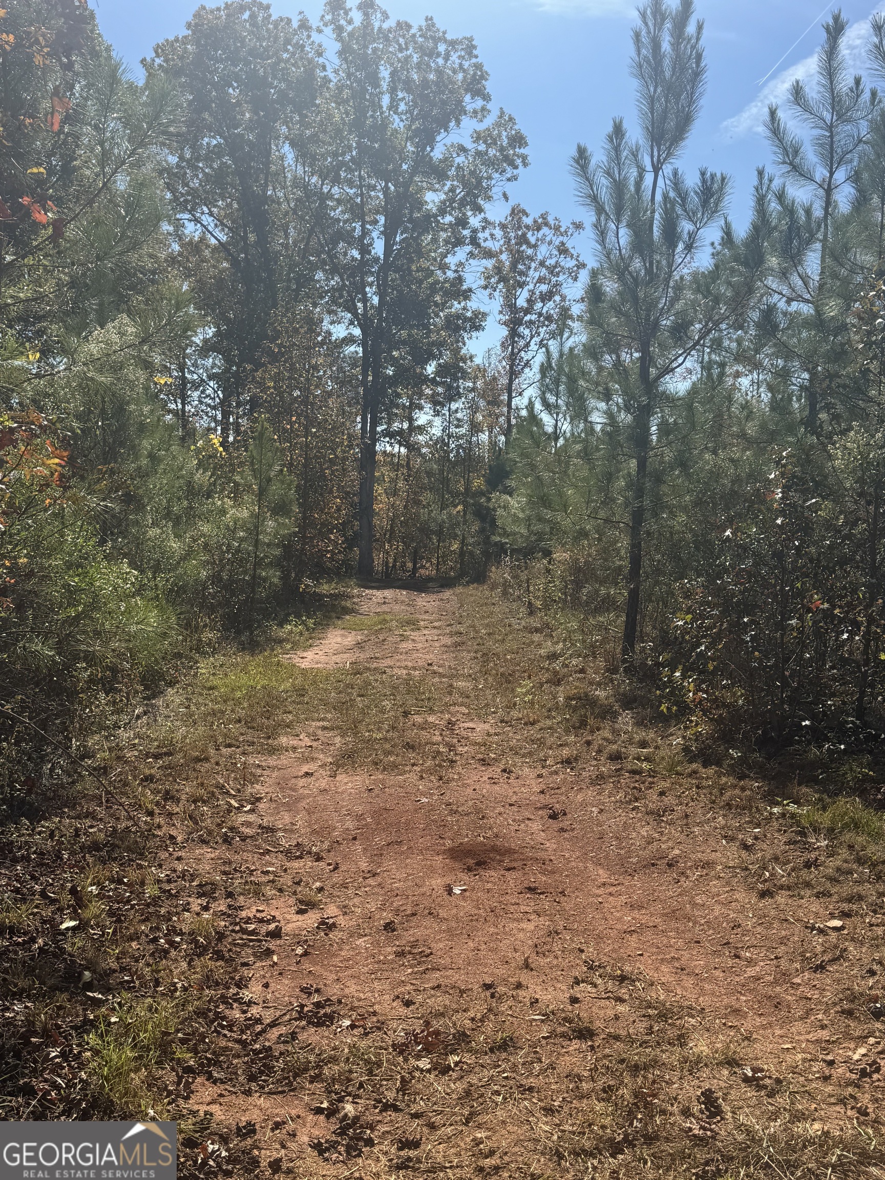 0 Perimeter Road Monticello, GA 31064 - Photo 18 of 22 a view of a yard with trees