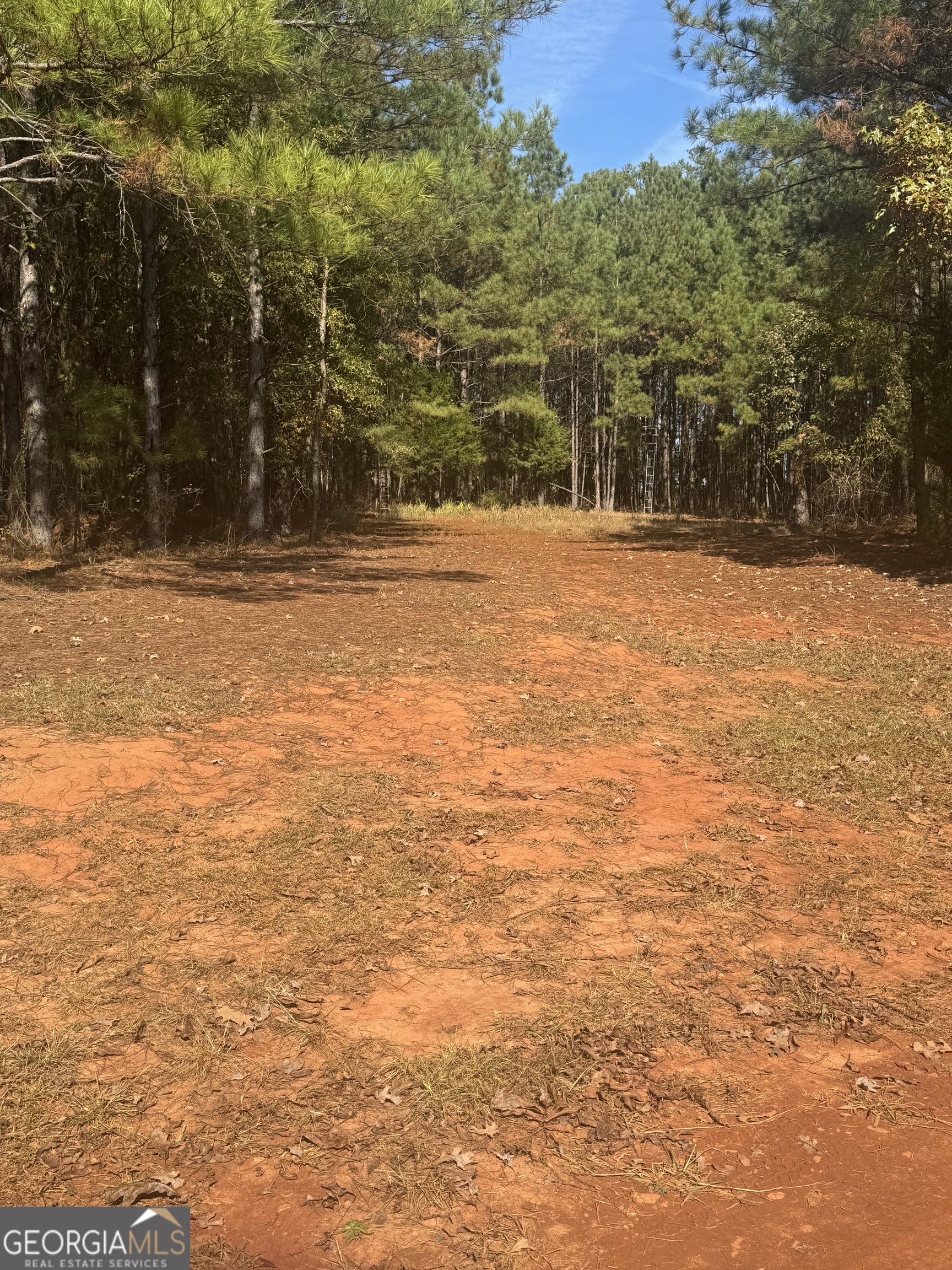 0 Perimeter Road Monticello, GA 31064 - Photo 19 of 22 a view of swimming pool with an outdoor space