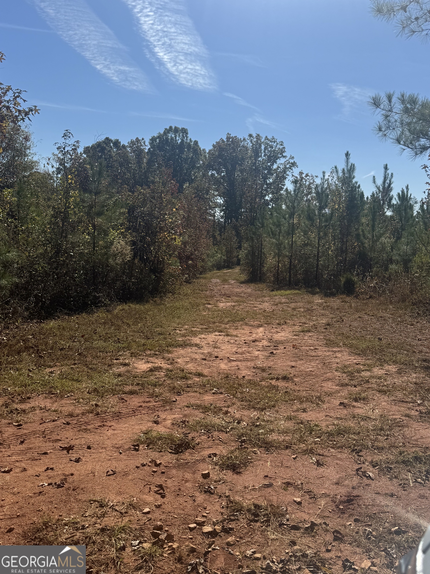 0 Perimeter Road Monticello, GA 31064 - Photo 20 of 22 a view of a field with trees in the background