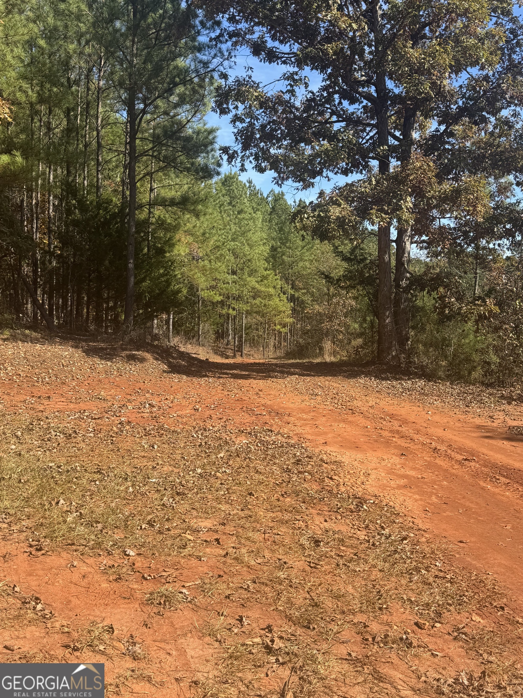 0 Perimeter Road Monticello, GA 31064 - Photo 21 of 22 a view of yard covered with snow