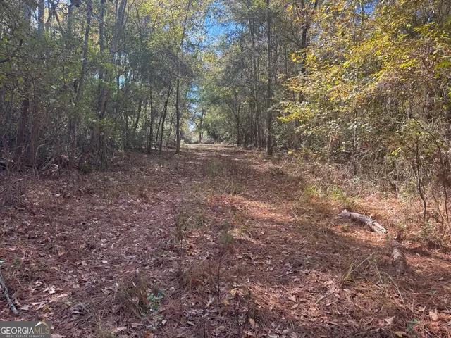 a view of a yard with trees