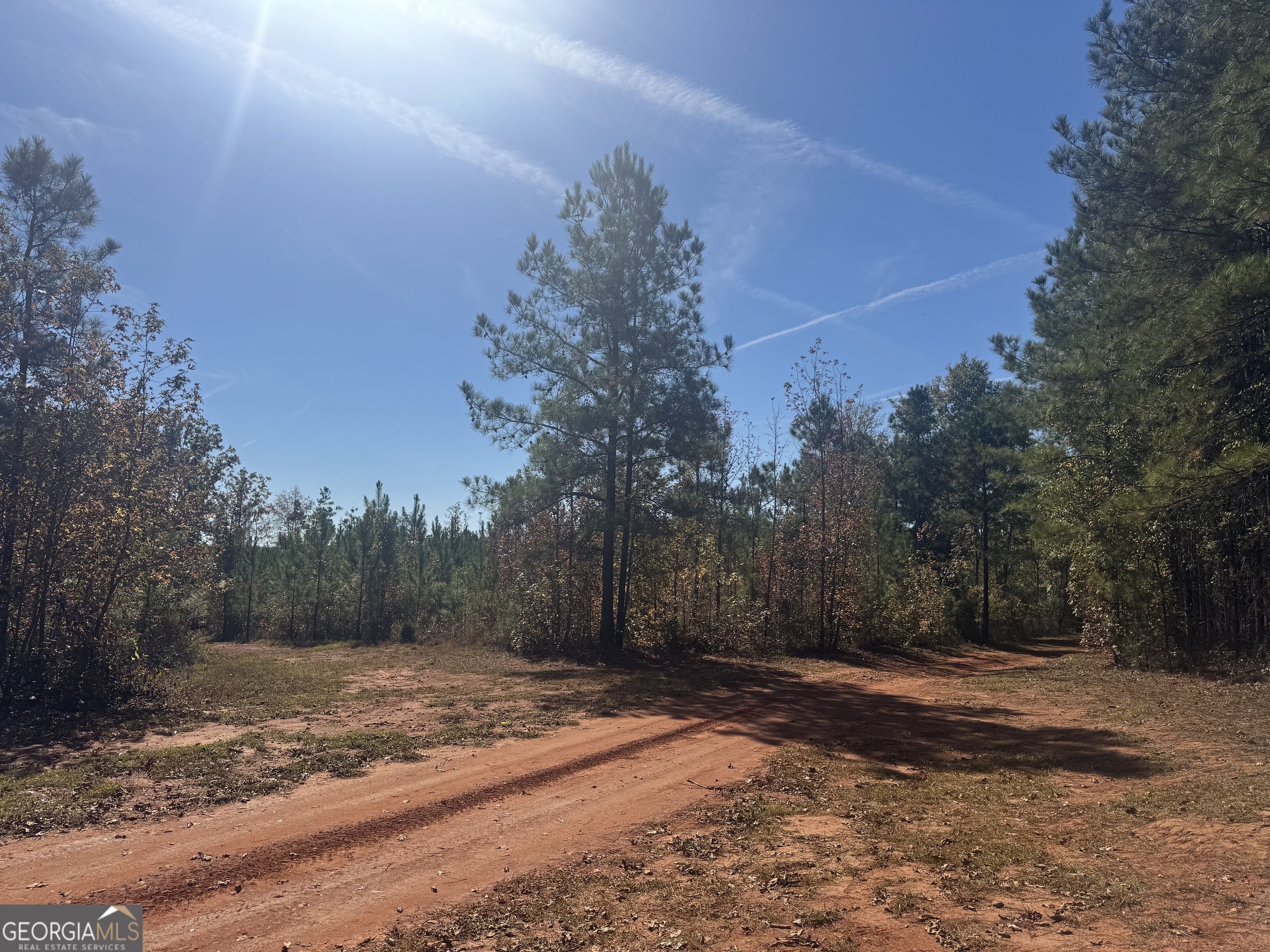 0 Perimeter Road Monticello, GA 31064 - Photo 5 of 22 a view of a yard with trees