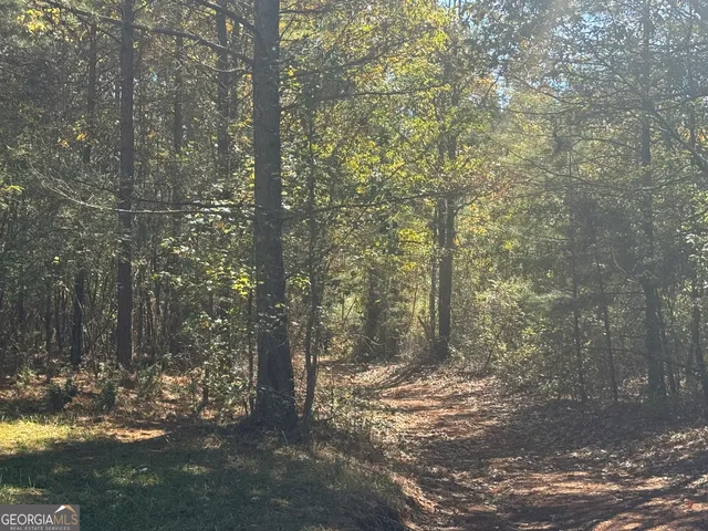 a view of outdoor space with trees