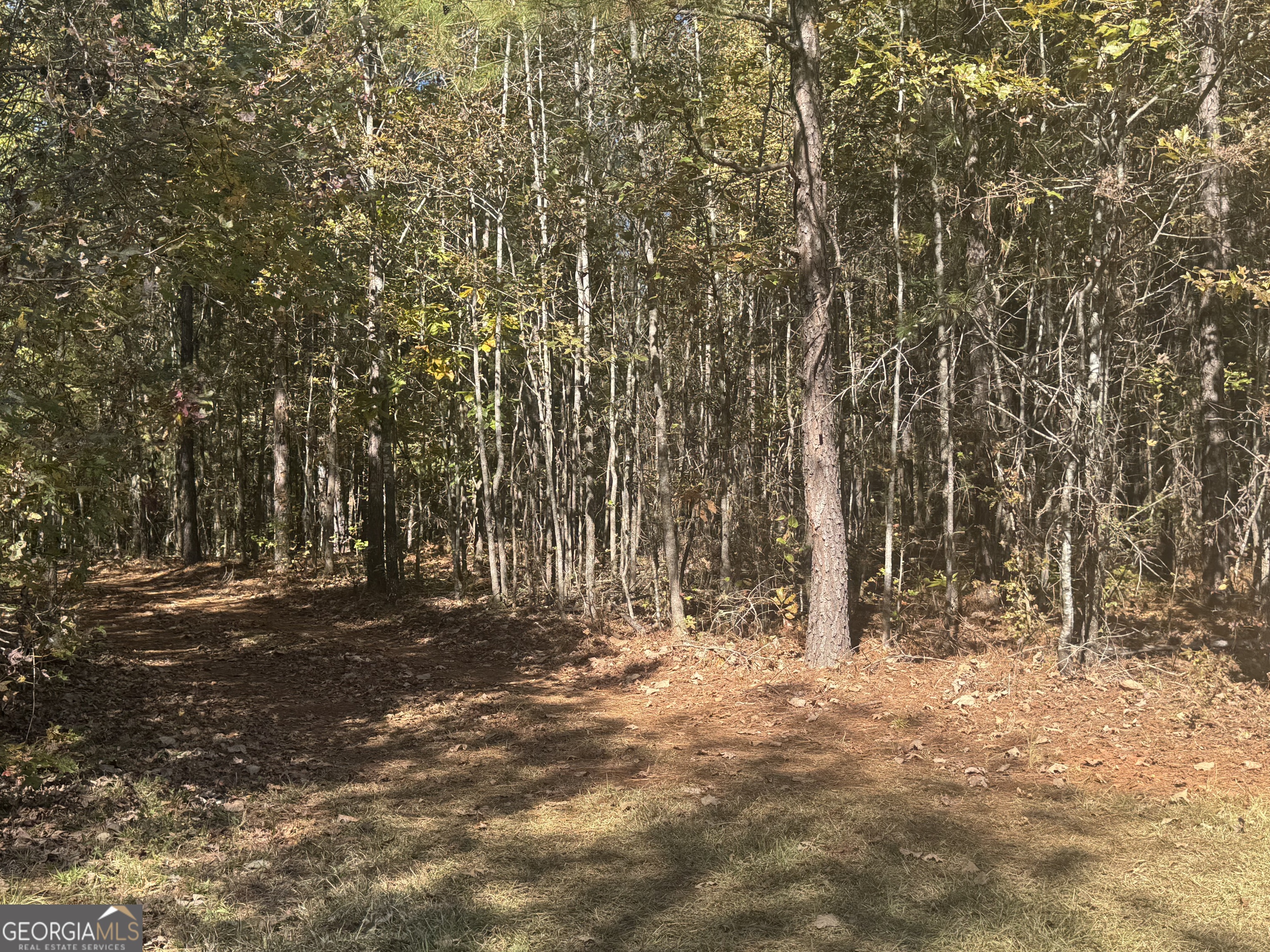 0 Perimeter Road Monticello, GA 31064 - Photo 8 of 22 a view of outdoor space with trees