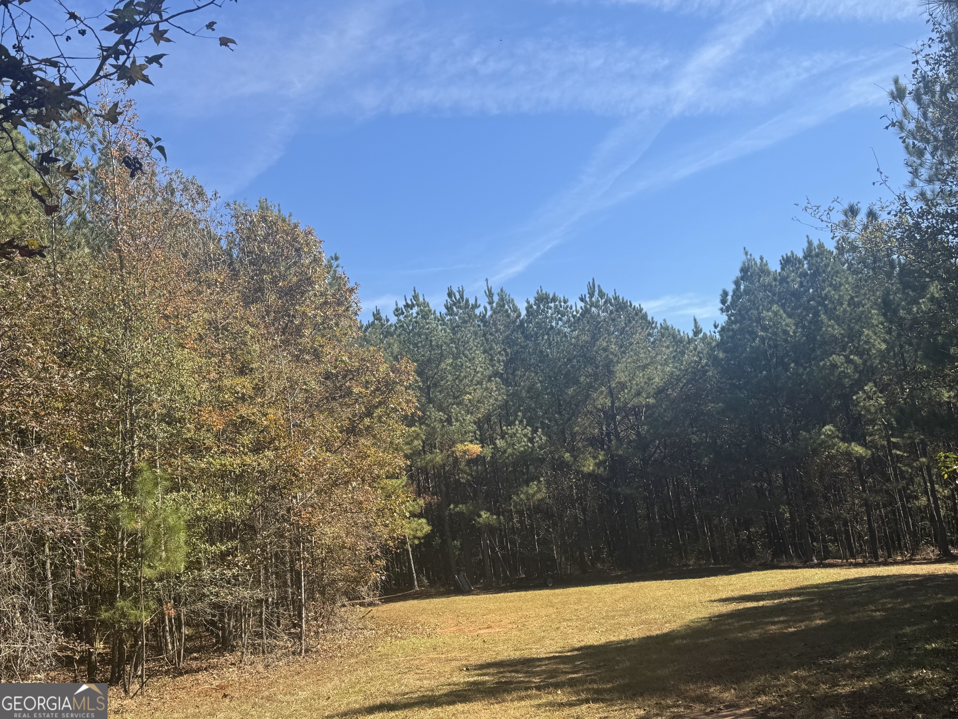 0 Perimeter Road Monticello, GA 31064 - Photo 9 of 22 a view of a yard