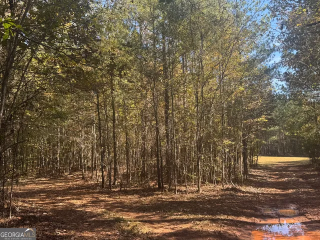 a view of outdoor space with trees