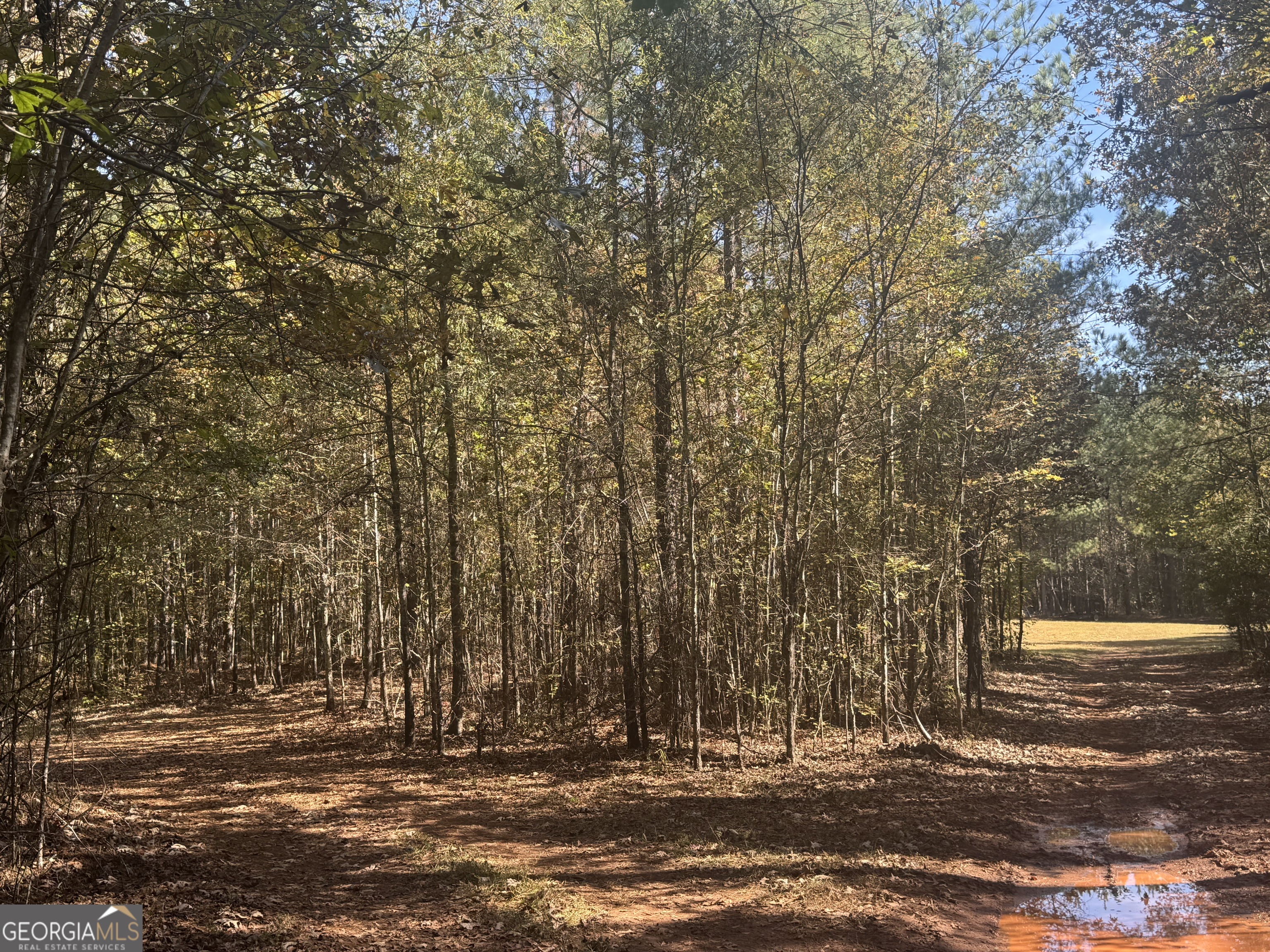 0 Perimeter Road Monticello, GA 31064 - Photo 10 of 22 a view of outdoor space with city view