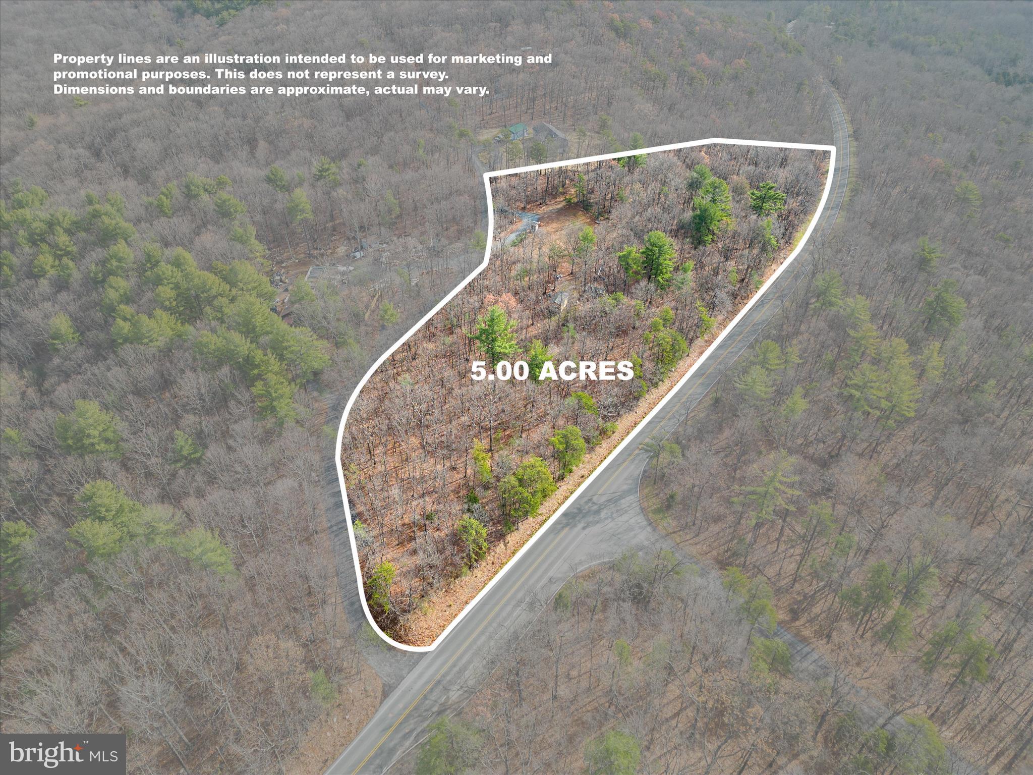 0 Bushy Ridge Drive Star Tannery, VA 22654 - Photo 3 of 12