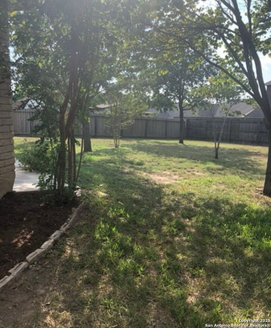 128 Springtree Grove Cibolo, TX 78108 - Photo 15 of 15