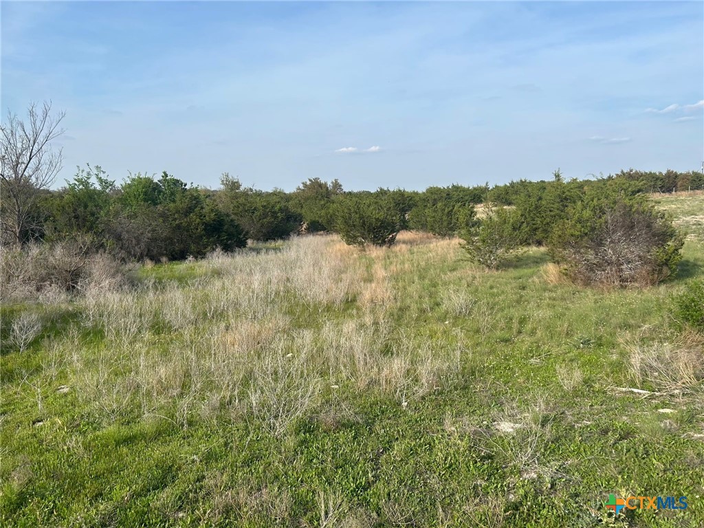 850 Blakely Road Gatesville, TX 76528 - Photo 13 of 32 a view of a lake with a city
