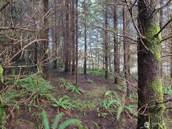 $385,000 | -end Of Workman Creek Road, Elma, WA 98541