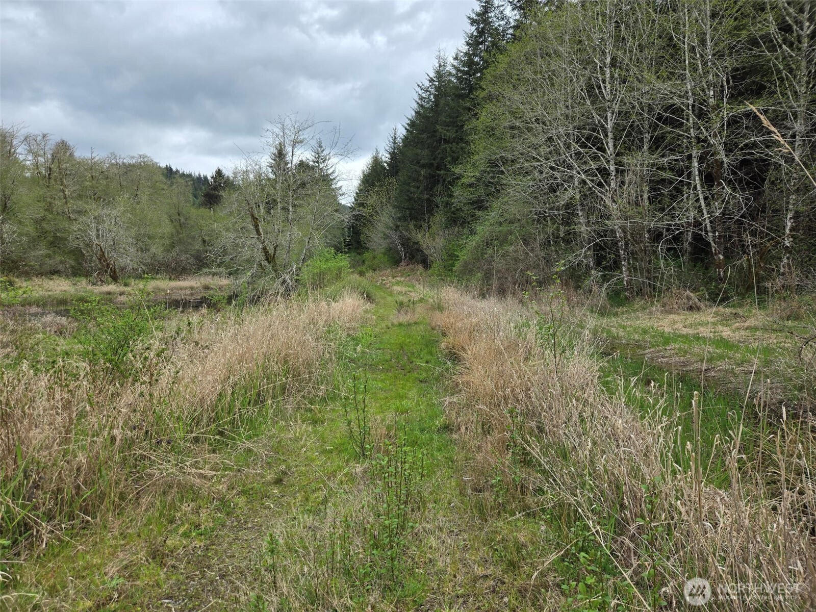-end Of Workman Creek Road Elma, WA 98541 - Photo 11 of 13