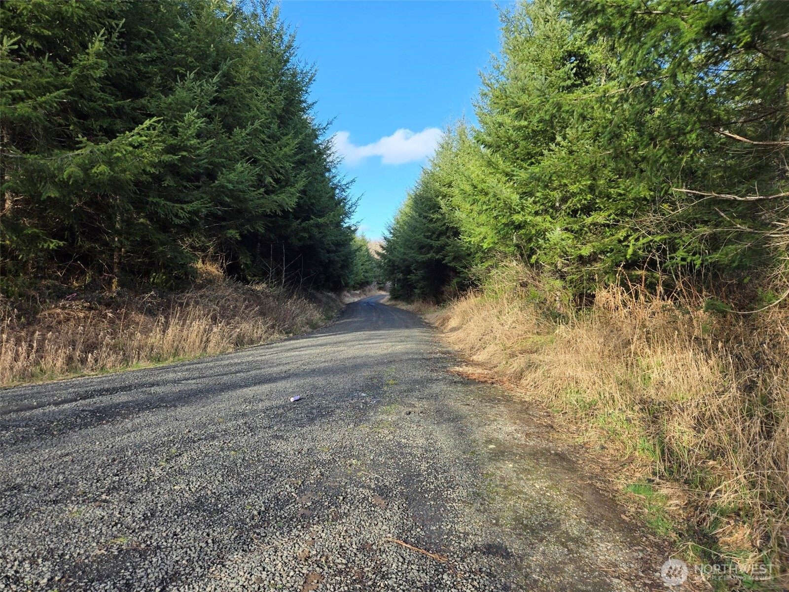 -end Of Workman Creek Road Elma, WA 98541 - Photo 12 of 13