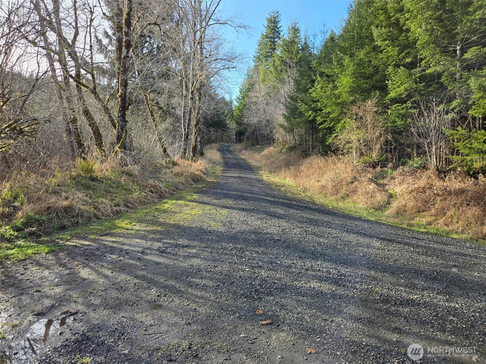 -end Of Workman Creek Road Elma, WA 98541 - Photo 13 of 13