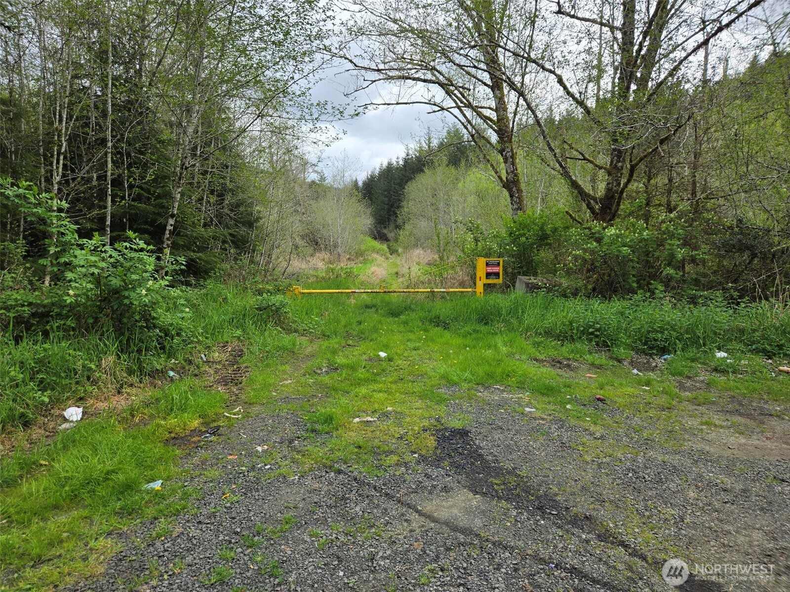 -end Of Workman Creek Road Elma, WA 98541 - Photo 10 of 13