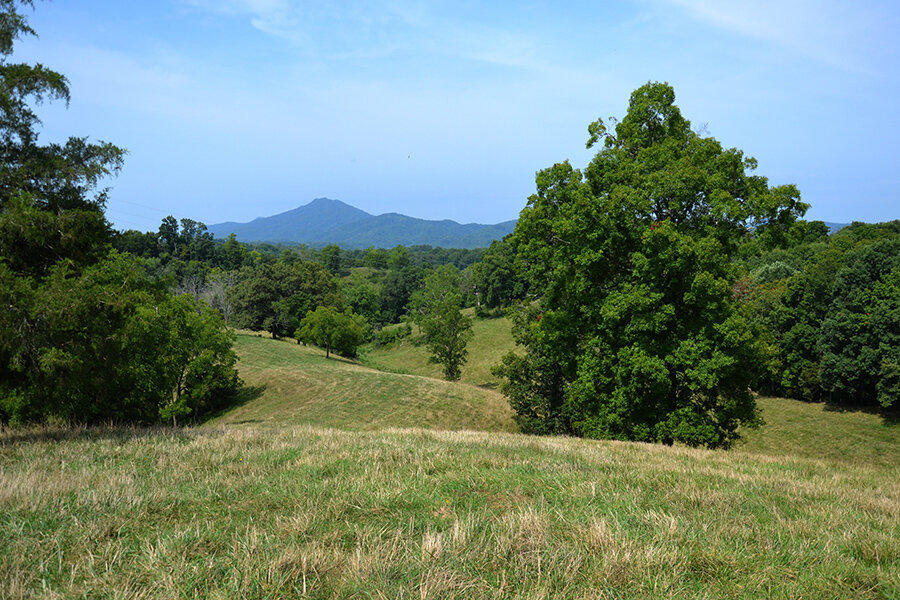 760 Church Road Fall Branch, TN 37656 - Photo 2 of 16 26884913_DSC_0017