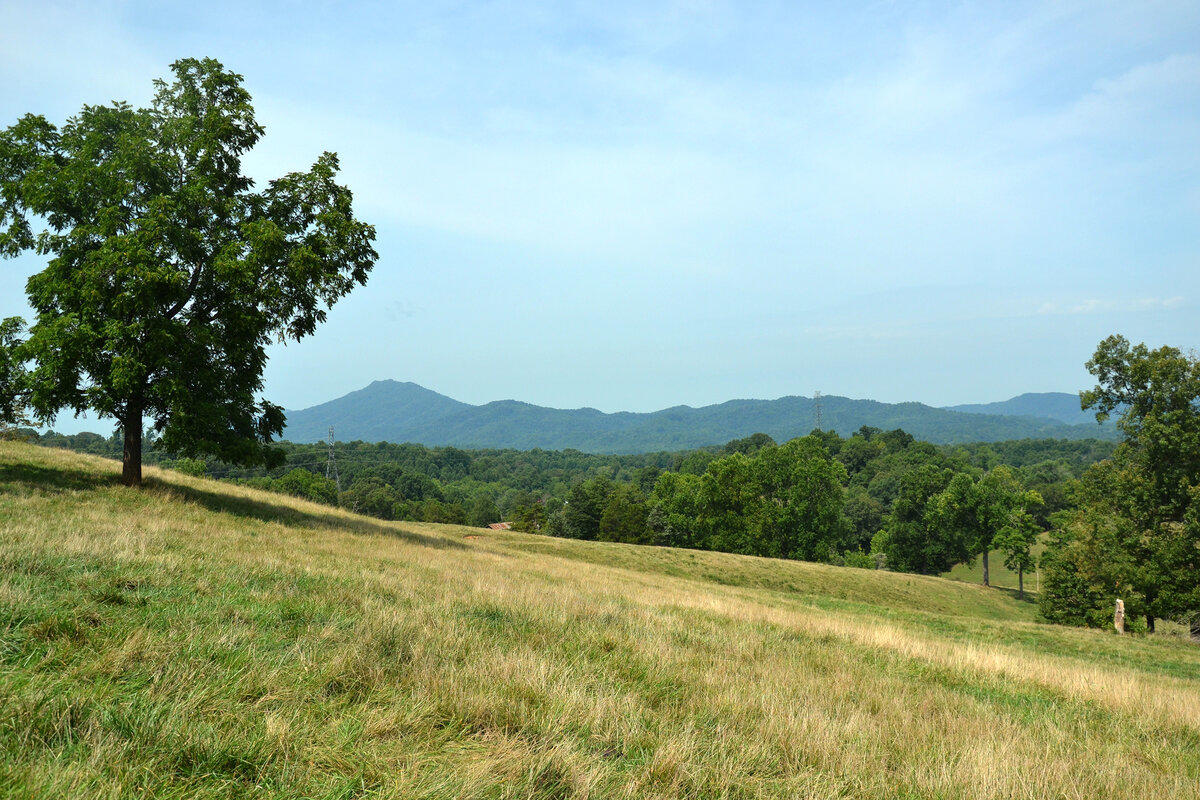 760 Church Road Fall Branch, TN 37656 - Photo 11 of 16 26884924_DSC_0029