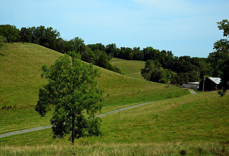 760 Church Road Fall Branch, TN 37656 - Photo 14 of 16 26884928_DSC_0033