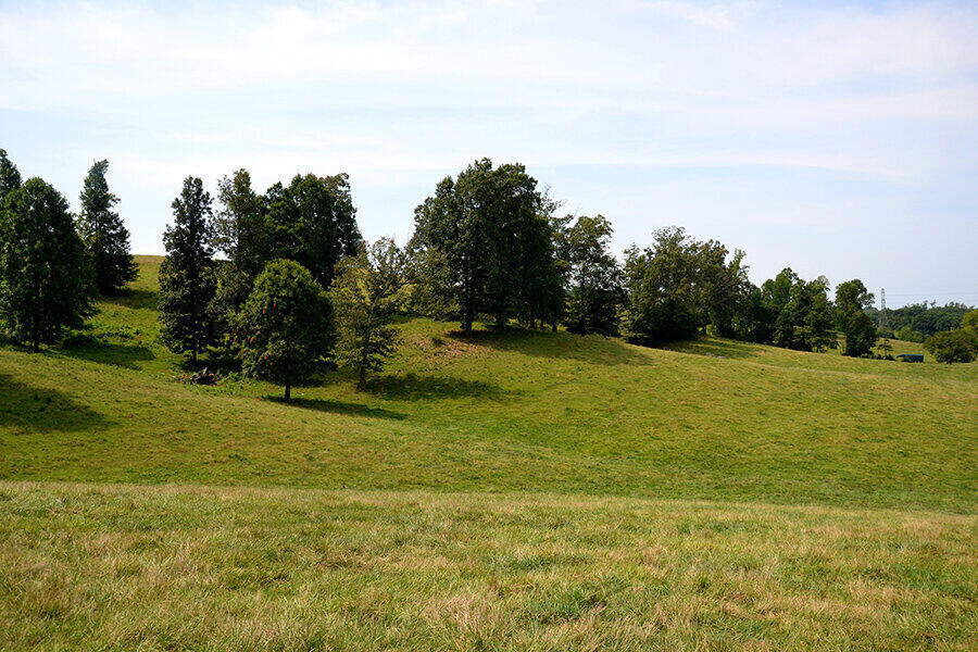760 Church Road Fall Branch, TN 37656 - Photo 3 of 16 26884919_DSC_0024