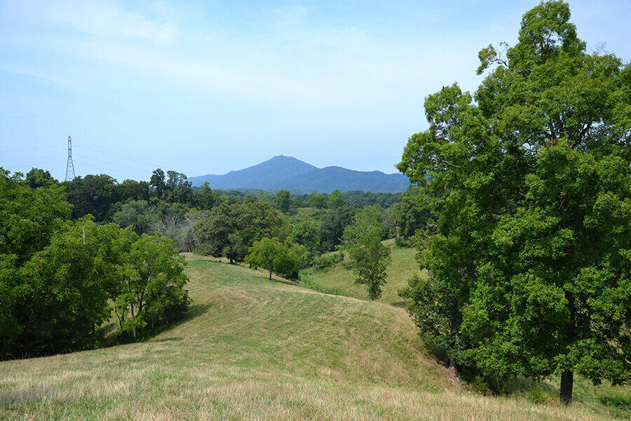760 Church Road Fall Branch, TN 37656 - Photo 4 of 16 26884915_DSC_0020