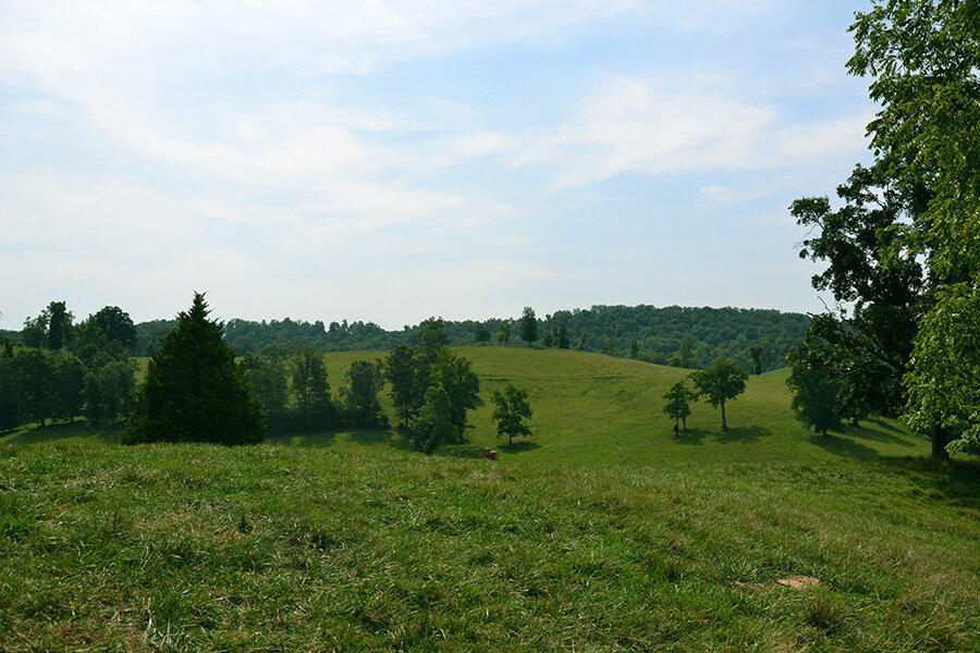 760 Church Road Fall Branch, TN 37656 - Photo 5 of 16 26884916_DSC_0021