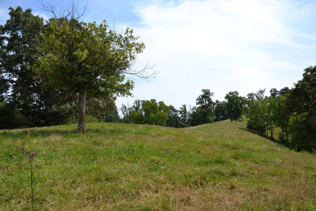 760 Church Road Fall Branch, TN 37656 - Photo 6 of 16 26884917_DSC_0022