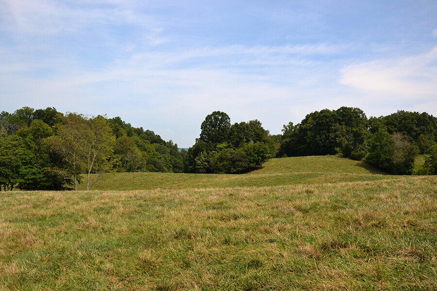 760 Church Road Fall Branch, TN 37656 - Photo 7 of 16 26884920_DSC_0025