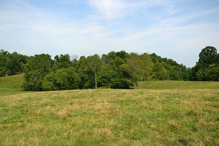 760 Church Road Fall Branch, TN 37656 - Photo 8 of 16 26884921_DSC_0026