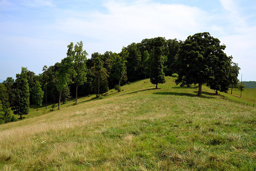760 Church Road Fall Branch, TN 37656 - Photo 10 of 16 26884923_DSC_0028