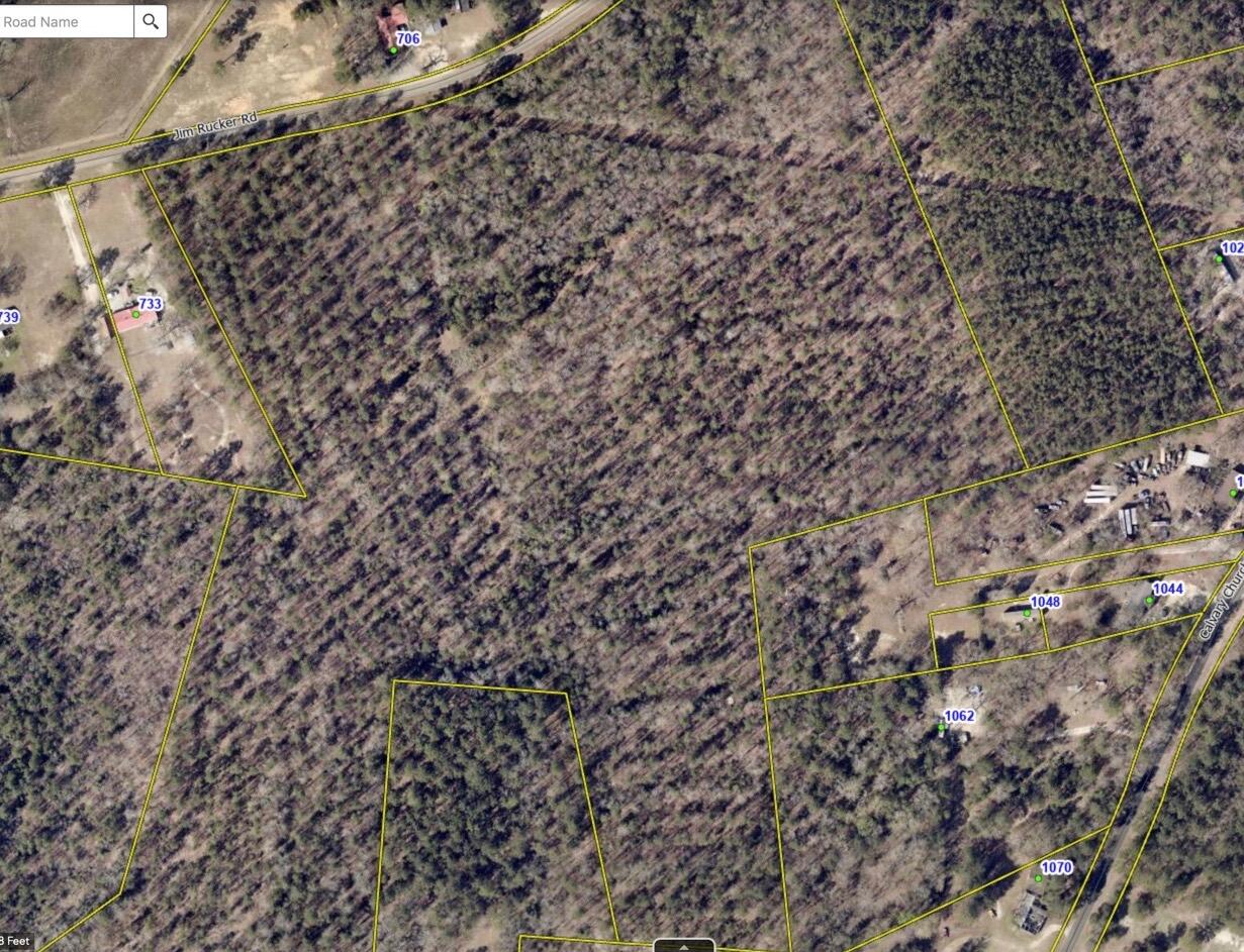 0 Jim Rucker Road Swansea, SC 29160 - Photo 1 of 2